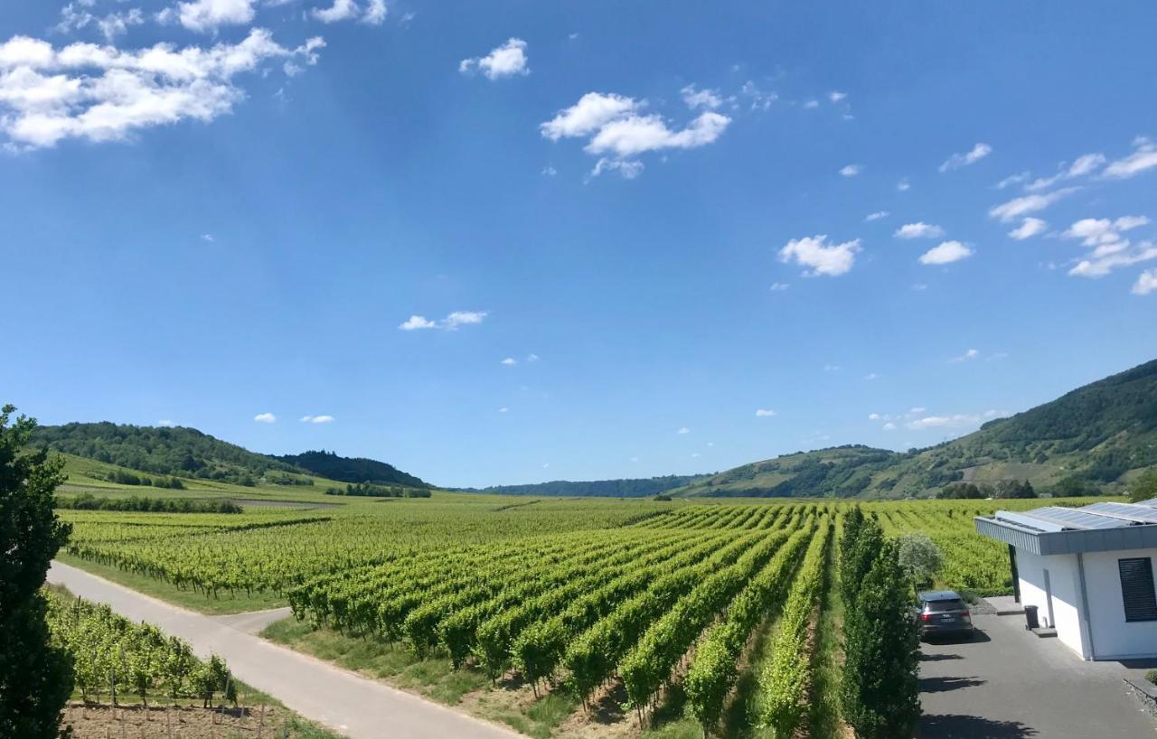 Weingut Gehlen-Cornelius Hotell Brauneberg Eksteriør bilde